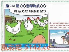 看图解码资料大全,数据解释落实_整合版121,127.13