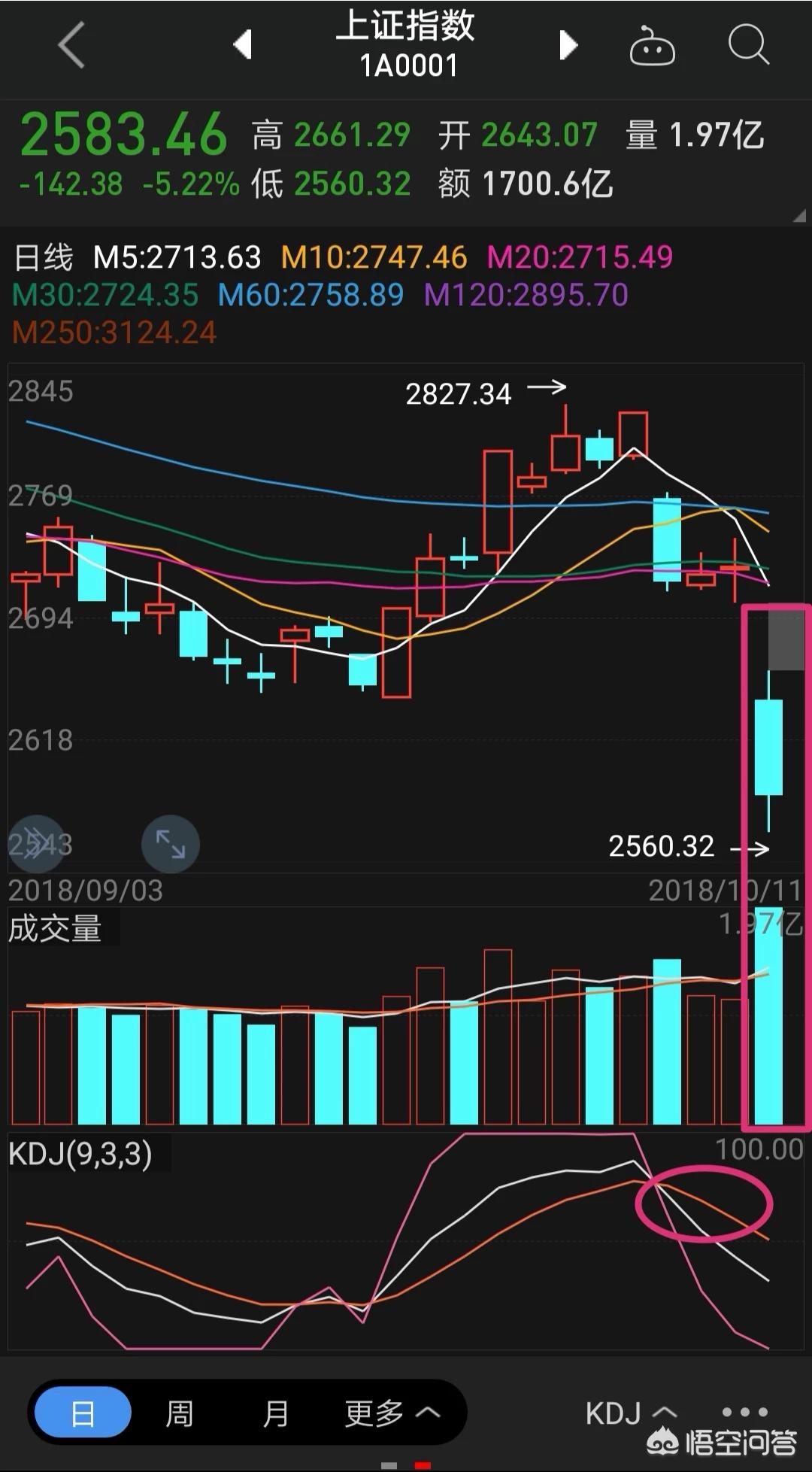 天下图文资讯天下旺，天下图文资讯天下旺角彩亮点