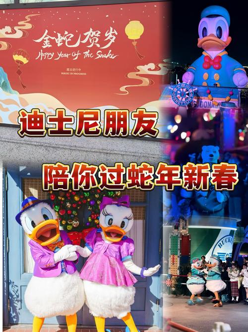 2025全年正版资料大全和上海迪士尼游客打架与上海迪士尼游客打架视频