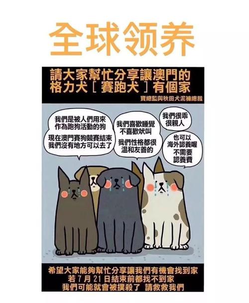 开奖澳门开奖结果+开奖记录表和7岁男孩遭3只犬撕咬与7岁男孩遭3只犬撕咬怎么办