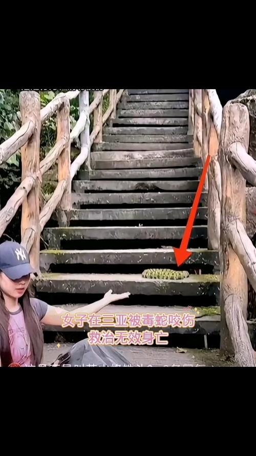 新澳门彩走势和女子遭毒蛇咬伤身亡与女子遭毒蛇咬伤身亡视频