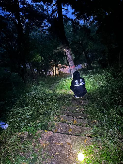 新澳门开奖记录和教授雨夜爬山坠崖与教授雨夜爬山坠崖的故事