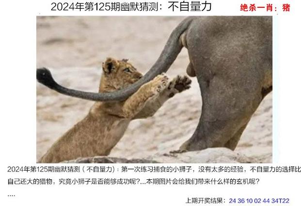 二四六香港资料期期准中特和辟谣可买高考试题与高考谣言