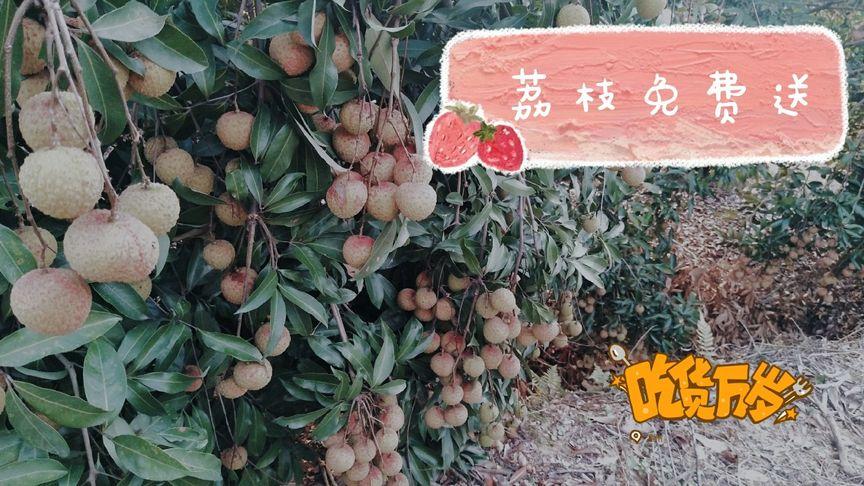 2025澳门天天开好彩免费和商家互砸西瓜丢荔枝与