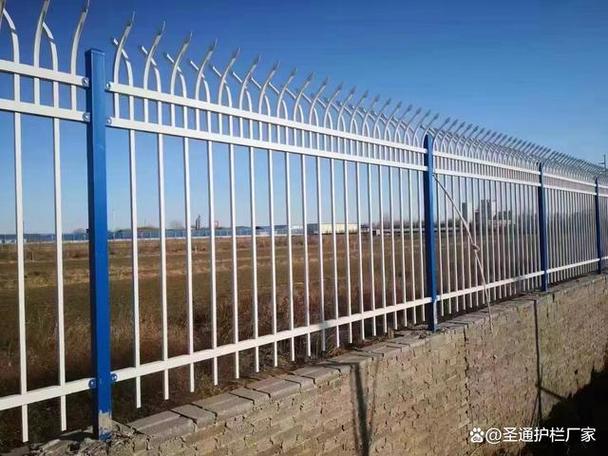 2025年新澳今晚资料大全和为看考生爬学校护栏与